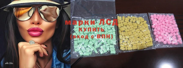 PSILOCYBIN Алзамай