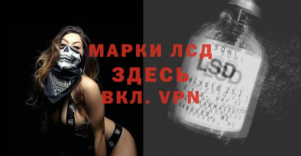 PSILOCYBIN Алзамай