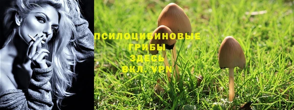 PSILOCYBIN Алзамай