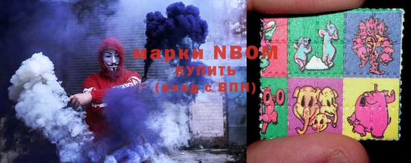 PSILOCYBIN Алзамай
