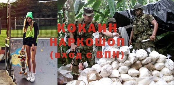 дурь Алексин